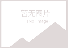 青岛黄岛梦岚教育有限公司